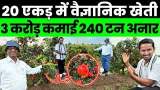 ऐसी खेती करेंगे तो कभी नहीं होगा LOSSPomegranate के सफल खेती के राजIndian Farmer