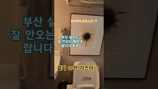 웨스틴조선 해운대   #가죽시트 #자동차튜닝 #자동차인테리어 #결벽증카케어