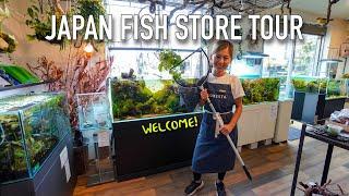 BEAUTIFUL JAPANESE FISH STORE Full Tour!! Aquarium Shop Floresta