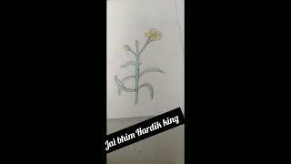 Jai bhim kudecha hardik king 