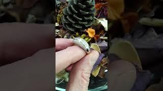 Авторское кольцо с бриллиантами "Гренландия".