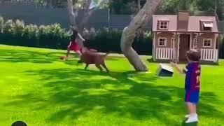 Messi playing Tiki-Taka with Thiago & Mateo vs Hulk dog