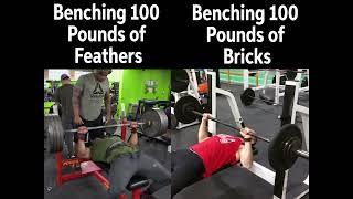 Benching 1 pound of feathers vs bricks #shorts