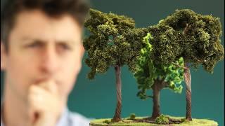 We don't know what's happening with forests