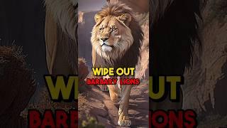 HUNTED to EXTINCTION: Barbary Lions ️