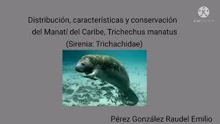 Distribución, características y conservación del Manatí del Caribe, Trichechus manatus