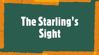 The Starling’s Sight