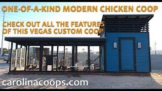 One-of-a-Kind Modern Chicken Coop in Las Vegas