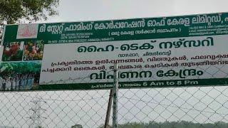 The State Farming Corporation of Kerala (SFCK)Kalanjoor