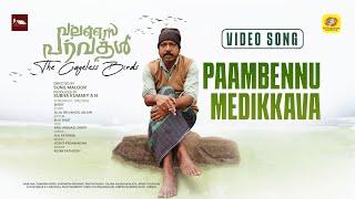 Paambennu Medikkava | Valasai Paravakal  | Official Video Song | Sunil  Maloor | Resmi Satheesh