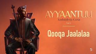 Andualem Gosa | Qooqa Jaalalaa (New Oromo Music 2024)