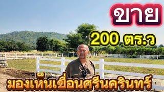 #ขายที่ดินราคาถูกมาก มองเห็นเขื่อน 200 ตร.ว กลางชุมชน น้ำไฟครบ แค่ 699,000