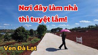 (Đã bán)Đất ven Đà Lạt| Thực tế đẹp hơn trong hình! Thiên đường săn mây ngay trung tâm thị trấn!