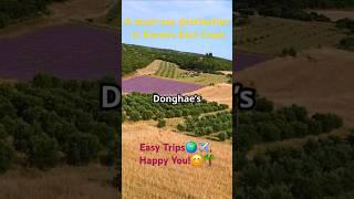 Korea's East Coast(Samcheok, Yangyang) good to travel in June (Travel: No Finish Line)