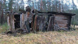 Коп в лесу. Что можно найти металлоискателем под землей.