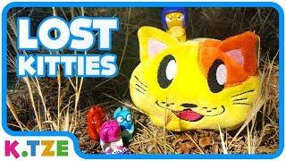 K.Tze sucht die LOST KITTIES