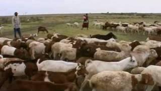 ILRI at Work: Volume One