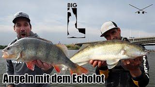 Echolot einstellen & Fische finden / Angeln mit dem Humminbird Mega 360 und Side Imaging