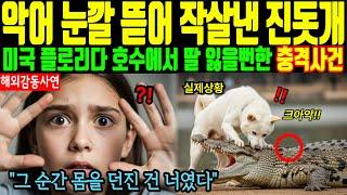 [해외감동사연] 악어 눈깔 뜯어 작살낸 진돗개 - 미국 플로리다 호수에서 딸 잃을뻔한 충격사건