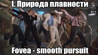 Природа плавности I: Fovea и Smooth Pursuit | ОРВВ 3