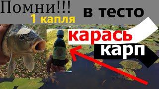 Добавил это.КАРАСИ в ШОКЕ.Сильнейший Ароматизатор на карася.Наживка на карася.Карась насадка.