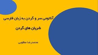 آناتومی سر و گردن - آناتومی شریان های سر و گردن به زبان فارسی