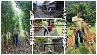 [台18線公路之旅] 沒想到阿里山公路沿途隱藏這麼多好玩的地方，部落看梅花鹿、清幽的森林步道、茶點美食以及鐵道人文，帶你一路玩到底