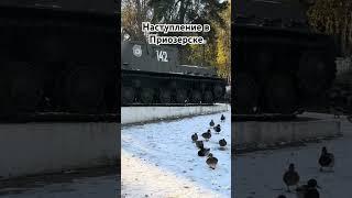 Утки перешли в активную атаку! Наступают широким фронтом, ноябрь 2023, Приозерск