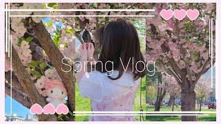 Cute Cafe & Cherry Blossoms: Bekyuu's Blog