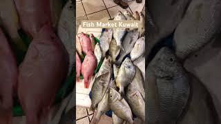 Fish Market Kuwait.                       #Souqsharq  #kuwait #kuwaitfish