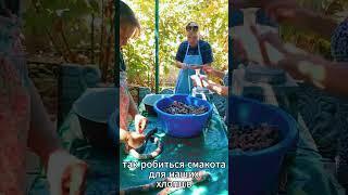 Так делается вкуснятина для хлопцев.