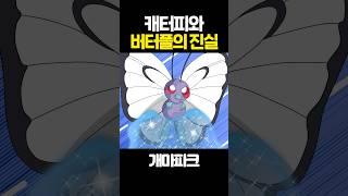 캐터피와 버터플의 진실!