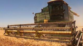 Corrido de Villa Juárez Sonora ️