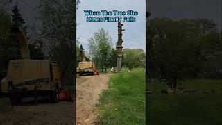 When The Tree She Hates Falls