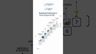 data analyst