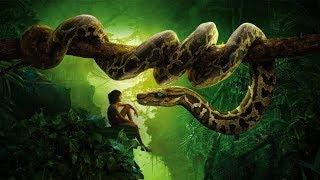 Jungle Book movie in Hindi