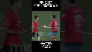 키퍼 알까기#축구 #k3 #실수#키퍼#알까기