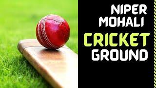 NIPER Mohali Cricket Ground | NIPER SAS Nagar Cricket Ground