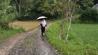 Terkejut Tahun 2025 Masih Ada Kampung Belom Merdeka Tersembunyi  Di Pedalaman Sukabumi Selatan