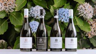 Taste the Difference: Babich Marlborough Sauvignon Blanc