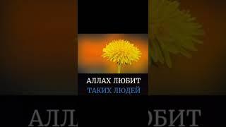 Аллах любит таких людей ️