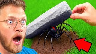 He Flipped 100 Rocks and Found This...