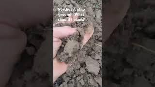 "close to lake Erie the Sandy soil is nothing but beautiful soft ground for growing""