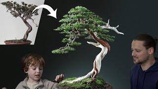 A Wild Tree (Yamadori) Becomes a Bonsai