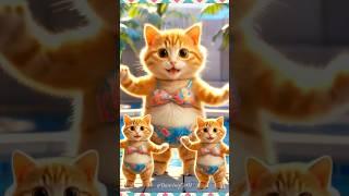 Cat Videos  funny dance| #cat #catvideos #cats #funnycats #trendingshorts #0333