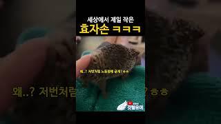 효자손 성능 확실하네 ㅋㅋㅋㅋㅋ