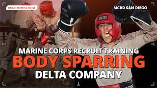 BODY SPARRING in Marine Corps Boot Camp - USMC Recruit Training at MCRD San Diego - Delta Company