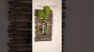 DIY Hanging Planter from a Glass Bottle in Minutes!  Easy, Upcycled, and Stylish! #ecodecor #viral