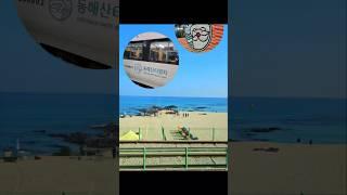 동해오션뷰를 실컷 감상하는 힐링기차 "동해산타열차" 예매방법 & 탑승 리뷰 #기차여행 #강릉여행 #동해여행 #평창여행 #분천산타마을 #오션뷰 #동해산타열차