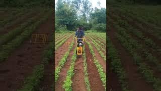 80 CC hand tractor weeder,  designed by Urvi Agrotech,  Pune